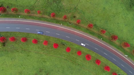 Cars-driving-on-curved-road-between-red-trees-at-Bochum,-Germany