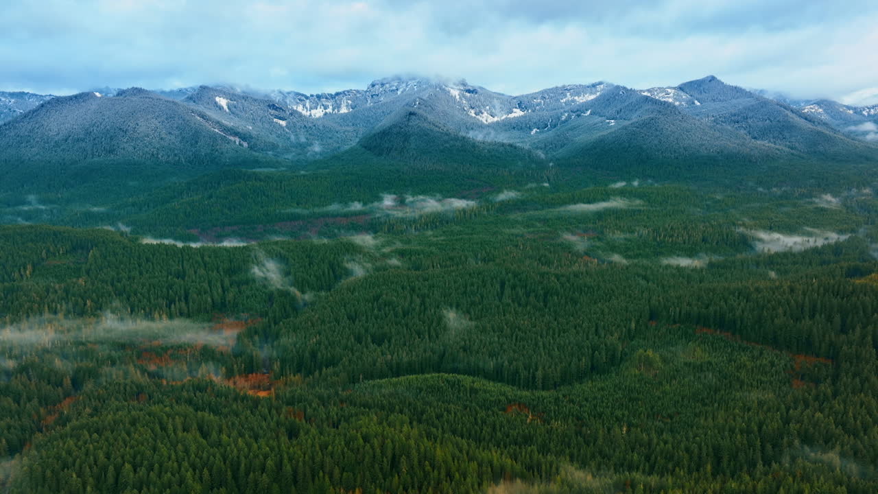 Amazing landscape with evergreen pine tree woods and mountains. Mist is covering some parts of the forest. Thick cloudscape hanging above the mountains in the Mount Rainier National Park in Washington State, the USA.