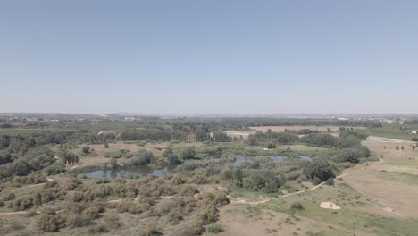 aerial view from a wetlands