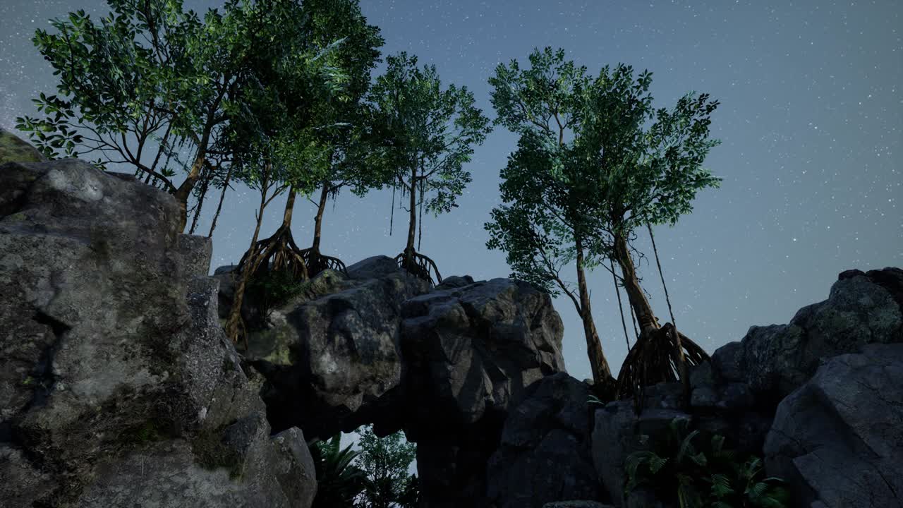 모래석 협곡 벽과 나무 위에 4k 하이퍼 ⁇ 스 스타 트레일