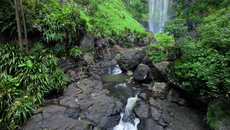 cascada en cascada a través de un bosque verde y exuberante