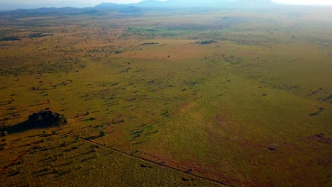 A Scenic View of Kidepo Valley National Park in Uganda, Africa - Aerial Drone Shot