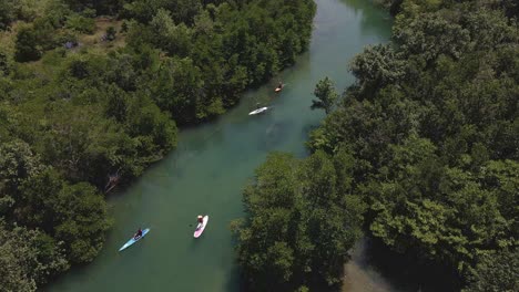 Vista-Aérea-De-Pájaros-Ahogados-De-Paddle-Boarders-Remando-Lentamente-Río-Arriba-Rodeado-De-Selva-Tropical