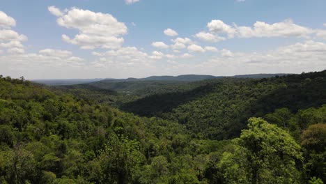 A-drone's-forward-motion-through-the-jungle,-weaving-among-the-towering-trees,-offering-an-intimate-glimpse-of-the-lush-rainforest