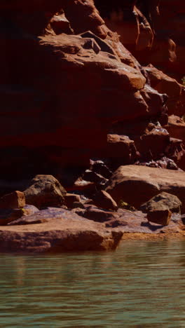 red rock canyon river scene