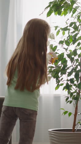 sibling sisters take care of large ficus tree together in living room slow motion. happy family gardening hobby. girls spend time in apartment