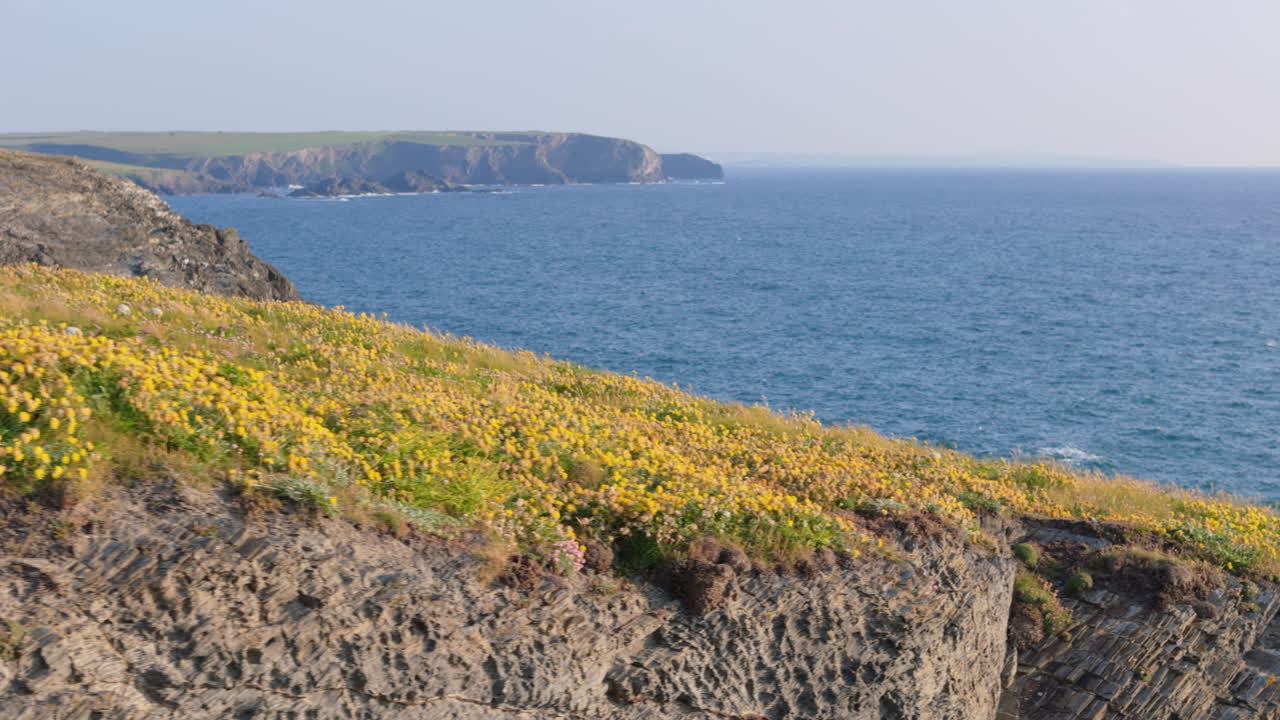 Coastal Cliffs with Yellow Wildflowers by the Sea