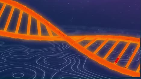 animación de una hélice de adn naranja que gira sobre patrones de onda sobre un fondo azul