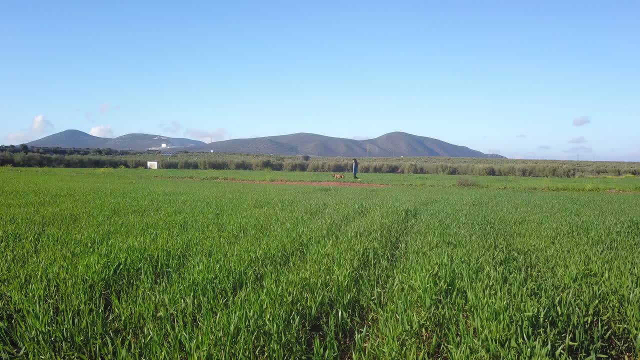 Una niña con un perro paseando por un campo de trigo