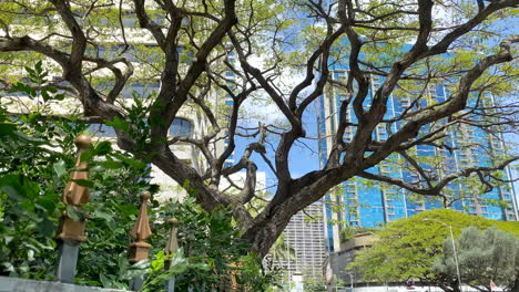 downtown streets of honolulu oahu, hawaii