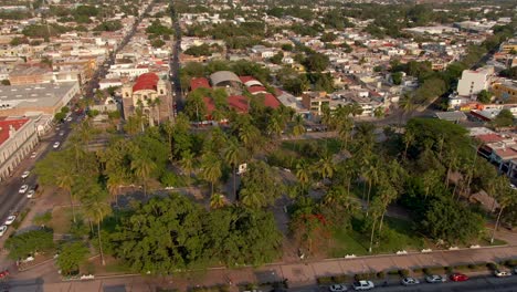 drone towards tall palm trees with ornamental fountain at jardín núñez in downtown of colima, mexico