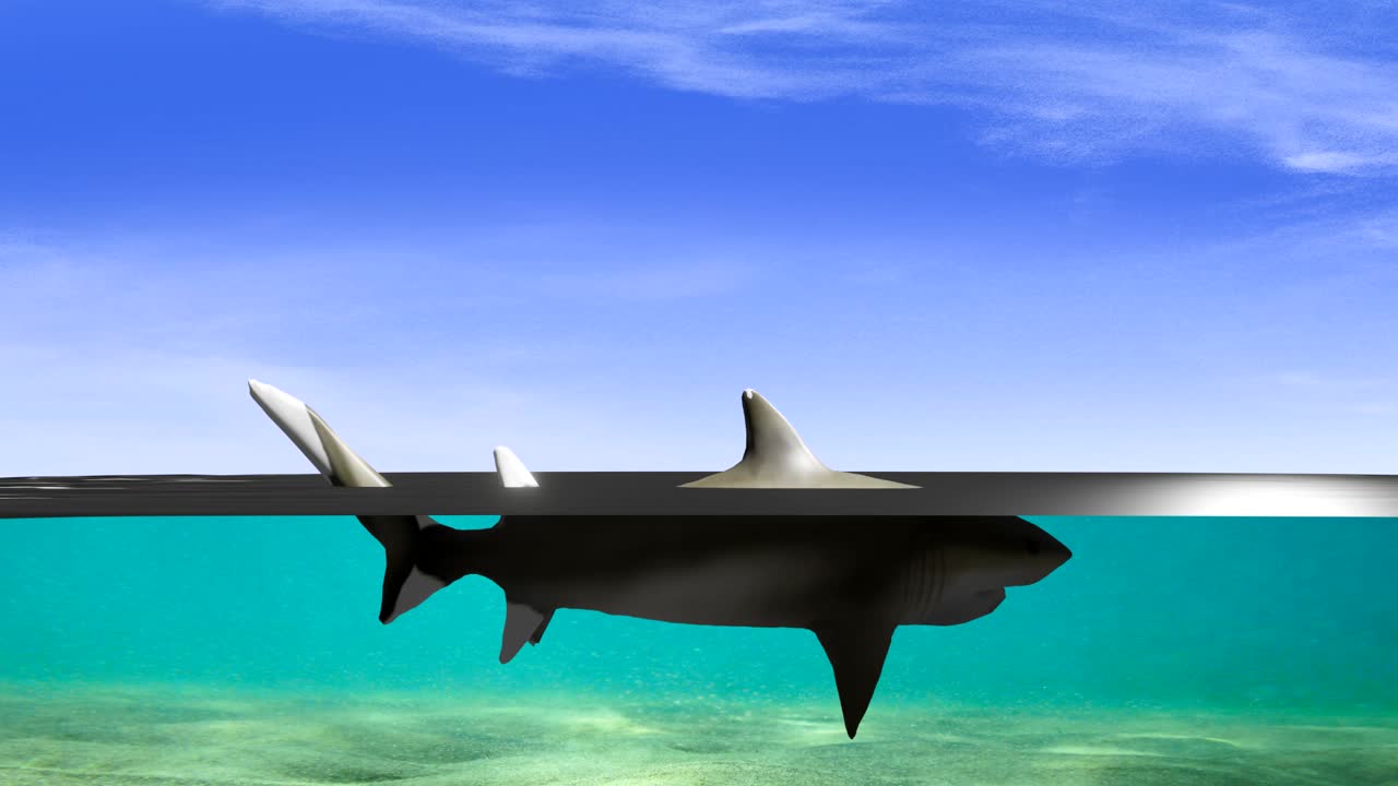 3D animation of a shark floating motionless at the ocean surface, partially visible above the water