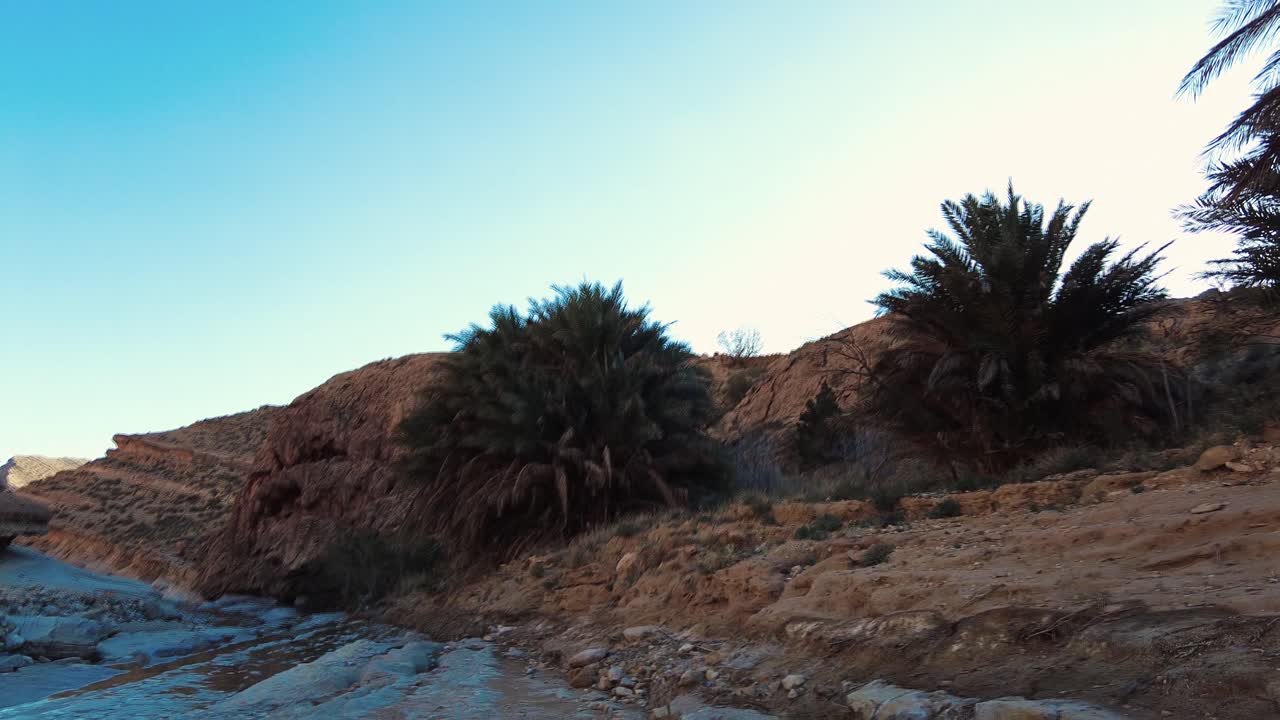 사하라 사막 한가운데에 있는 강 알제리 비스크라