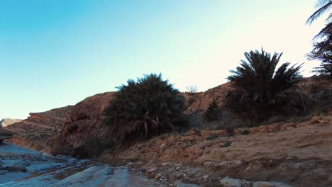 un río en el medio del desierto del sáhara argelia biskra