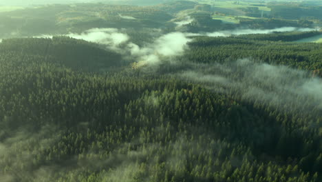 nubes blancas sobre las verdes colinas del bosque de sommerain en bélgica -antena