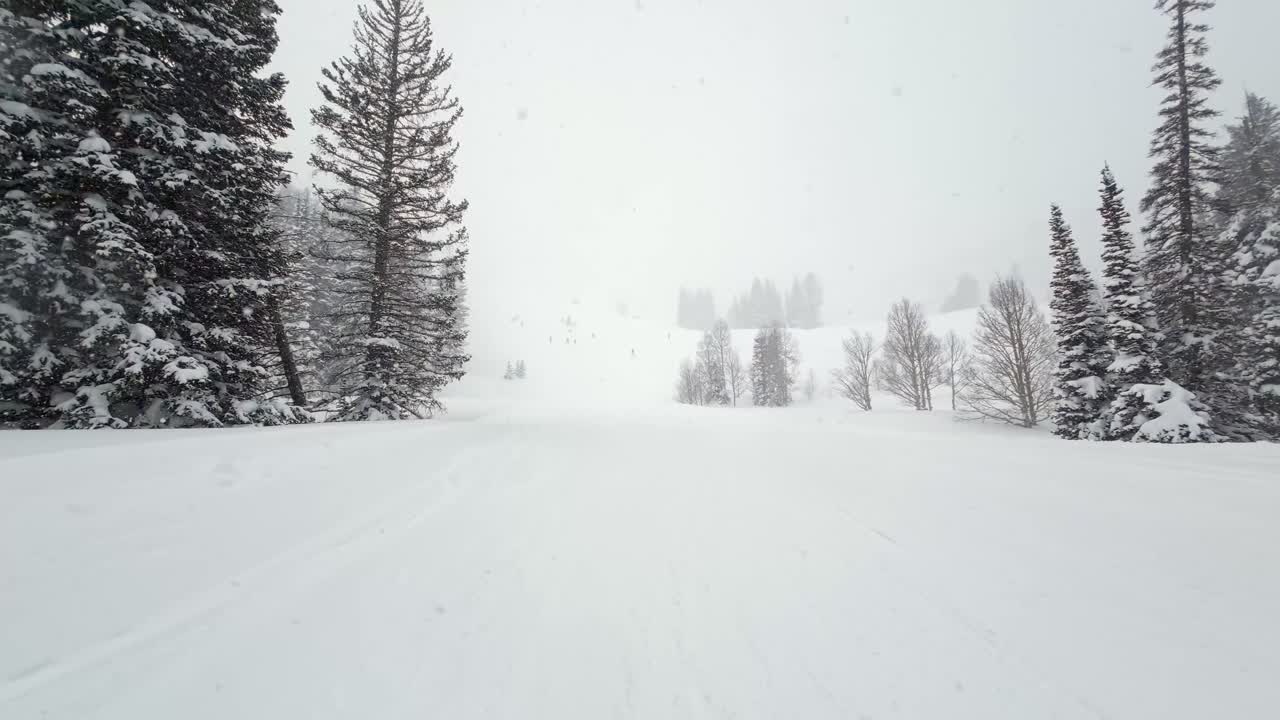 Tilt up landscape shot during a cold windy snowstorm from the bottom of a run in a beautiful ski resort in the Rocky Mountains of Utah surrounded by pine trees on a overcast winter day