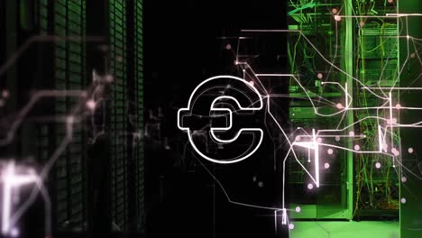 animación del símbolo del euro y rastros de luz brillante contra la sala del servidor de computadoras.