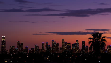 night cityscape with skyline and palm tree silhouette at dusk