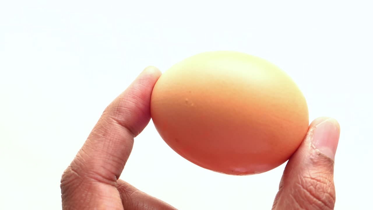 갈색 계란을 들고 있는 손