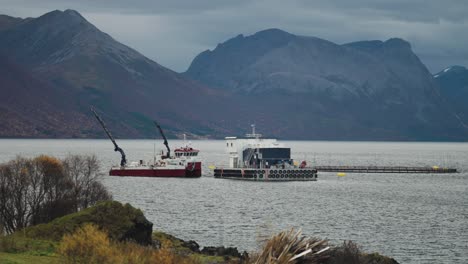 a salmon farm in the norwegian fjord