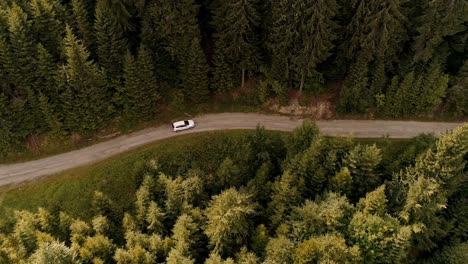 Weißes-Auto,-Das-Auf-Der-Straße-Fährt,-Die-Sich-Durch-Dichten-Wald-Schlängelt,-Draufsicht