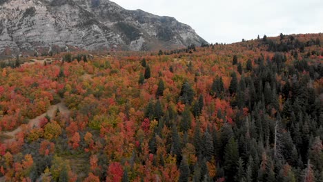 Toma-Aérea-Transversal-Sobre-Los-Colores-Del-Otoño-Cerca-Del-Pico-Squaw-En-Utah