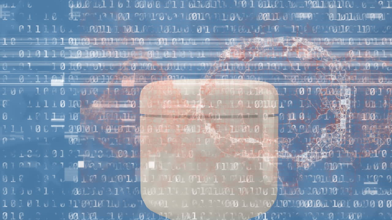 바이너리 코딩과 서버를 통해 인간 뇌의 애니메이션