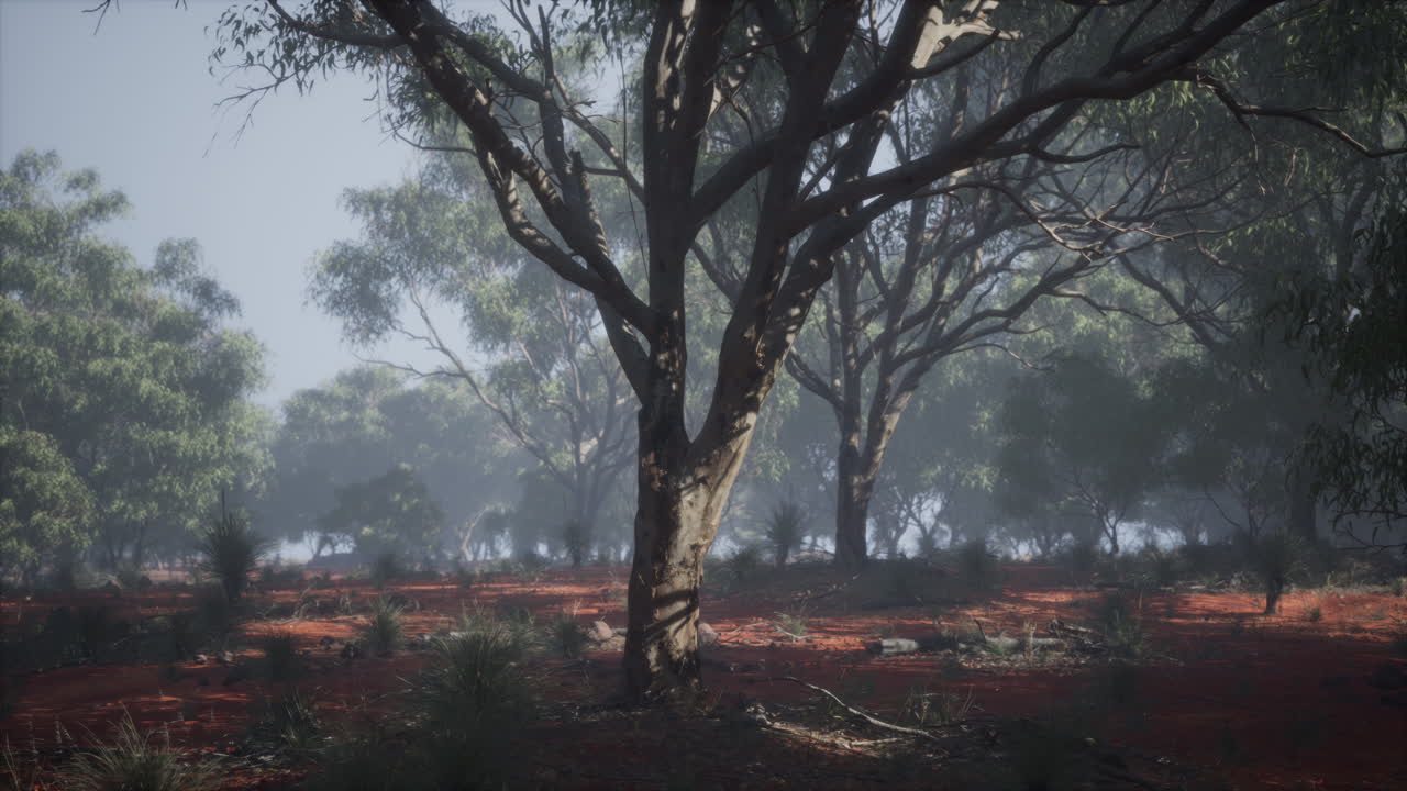 나무 와 관목 이 있는 해안 식물