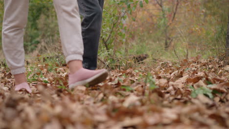 leg view of two individuals walking through dry autumn leaves in an outdoor setting, capturing connection with nature, movement, and the soothing crunch of leaves underfoot