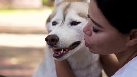 pet owner with dog