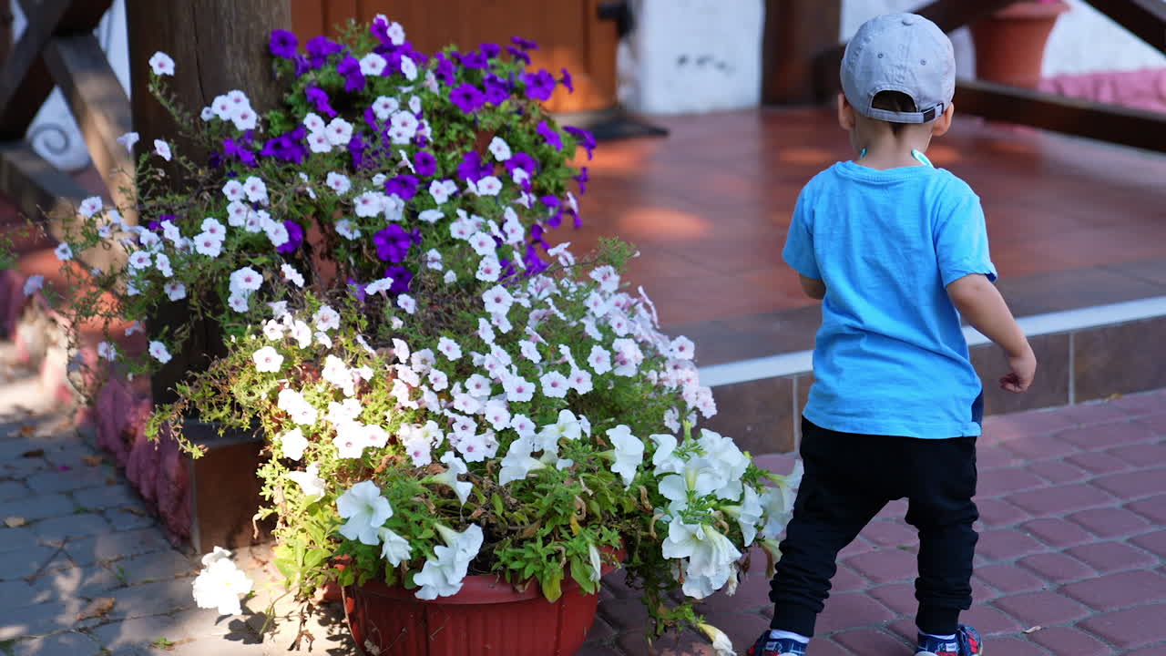 Toddler boy runs up to flowers growing outdoors and touches them. Kid steps on the stair and heads to the door.