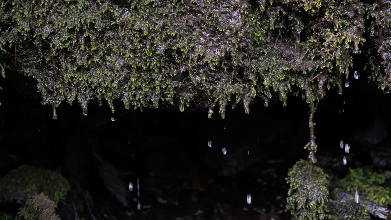 이끼 덮인 바위 위로 흐르는 물, 아래로 떨어지는