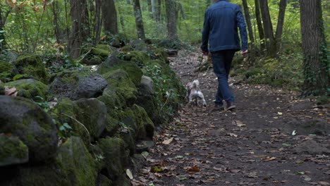 man walking dog through woodland forest wilderness tree trail