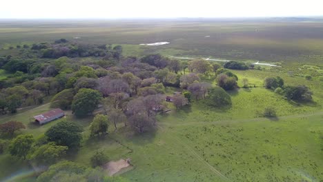 Feuchtgebiete-Im-Nordosten-Argentiniens,-Fotografiert-Mit-Drohne