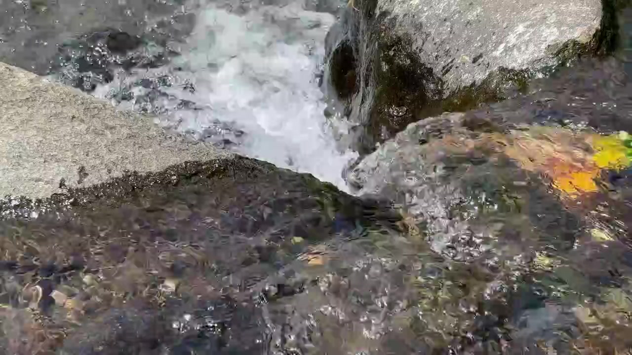 Clear Water Flowing Over Rocks in a Mountain Stream