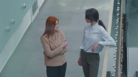 two female colleagues having communication