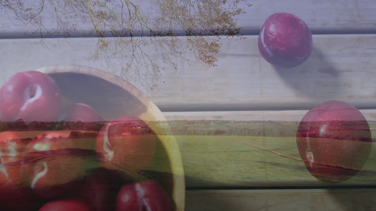 Red apples in bowl with scenic countryside landscape of trees and fields