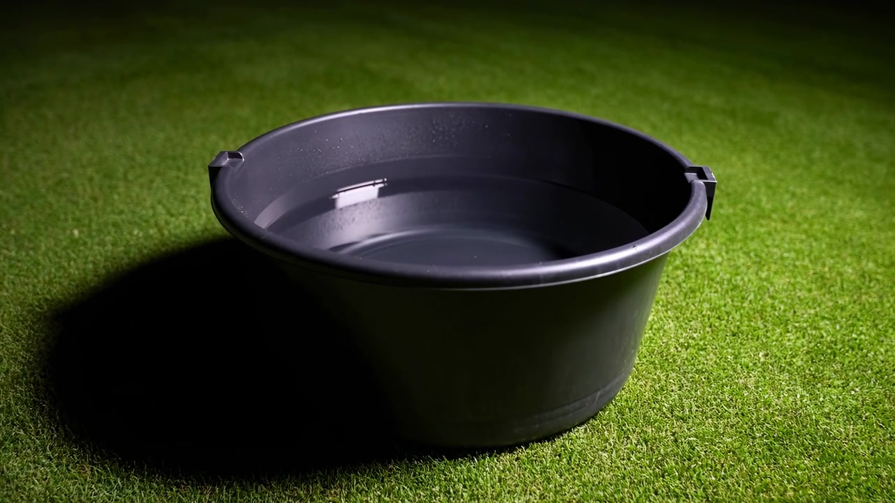 Eine neutrale, leere schwarze Plastikschale wird auf einem Grasfeld mit gleichmäßiger Beleuchtung aus der Draufsicht beobachtet. Diese Szene ist eine kommerzielle Produktpräsentation, die saubere