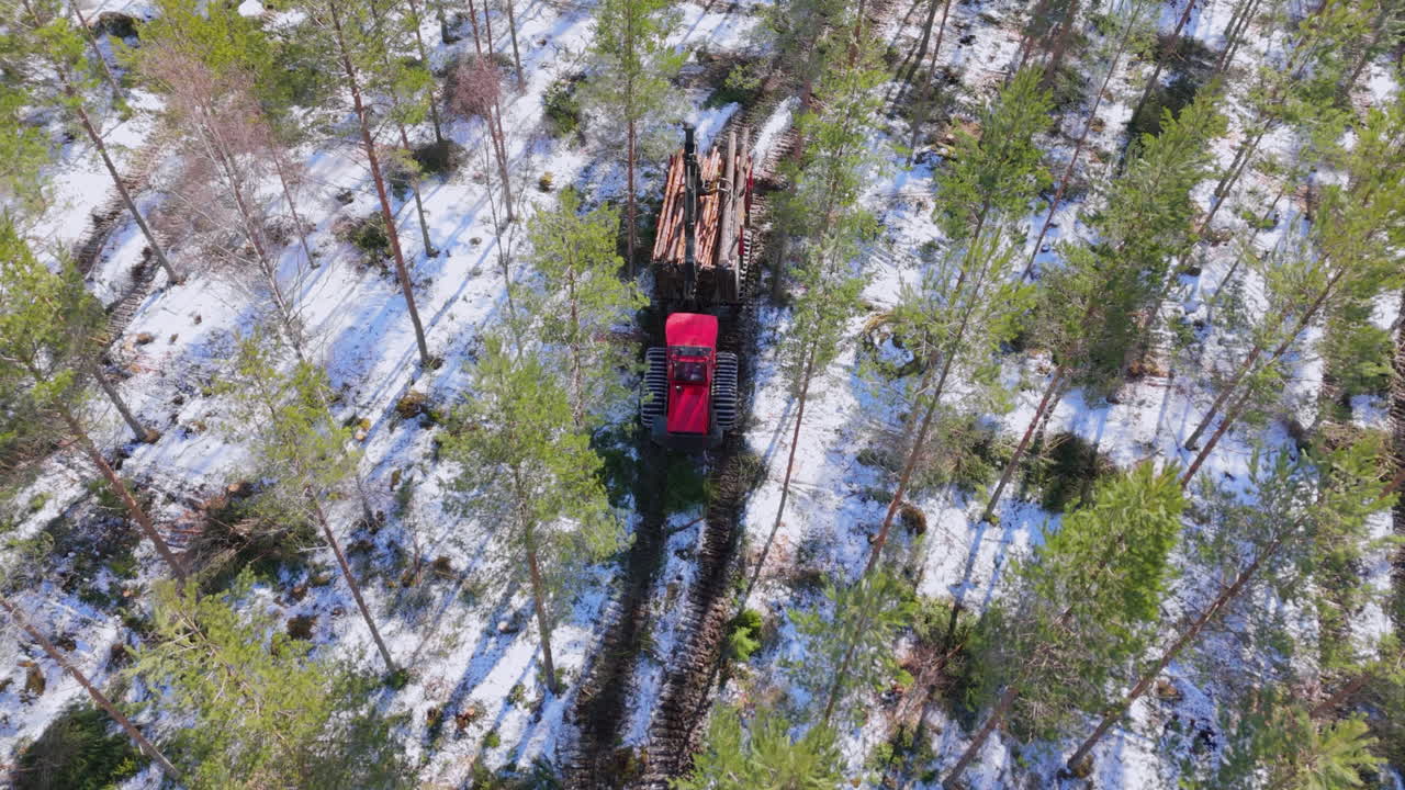 Red forwarder hauls felled tree logs on trailer along snowy forest track