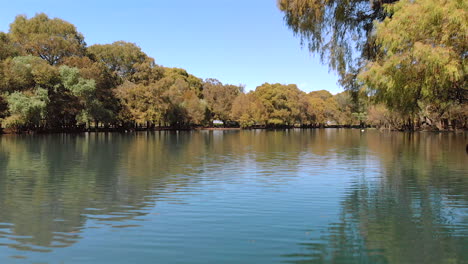 drone: paso bajo en el lago con árboles