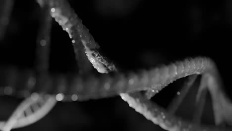 animation of dna strands on black background