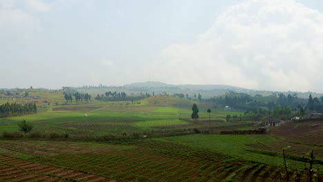 Ländliche-Landwirtschaft-Bewirtschaftungsfelder-Mit-Strahlend-Blauem-Himmel-Am-Morgen-Aus-Flachem-Winkel