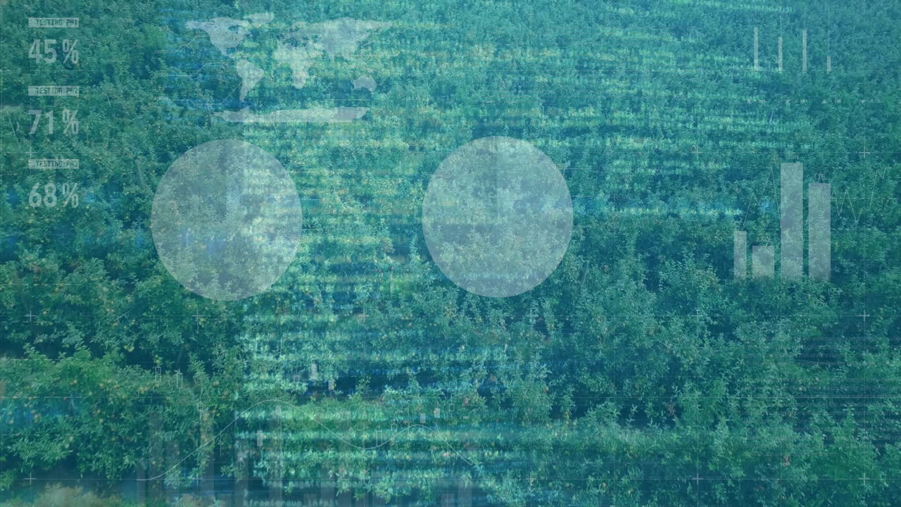 Animation overlaying data and analytics on lush green forest landscape