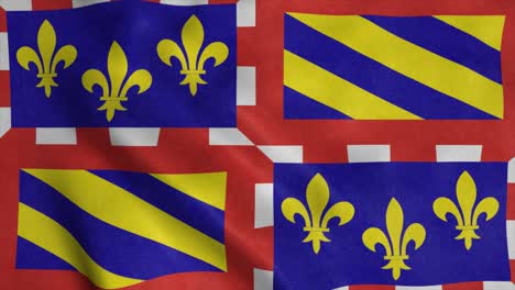 bourgogne flag, region of france, waving in the wind