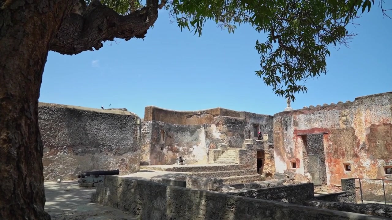 Albero all'interno del Museo Forte Jesus a Mombasa, Kenya