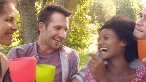 Four-friends-drinking-in-the-countryside-and-making-a-toast