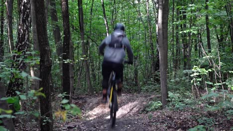 Statische-Aufnahme-Hinter-Einem-Mountainbiker,-Der-Im-Wald-Auf-Ein-Elektrisches-Mountainbike-Springt-Und-Einen-Peitschentrick-Macht