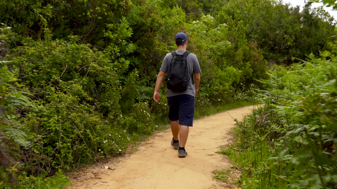 봄에 산의 푸른 초목을 가로질러 보도를 걷는 어린 소년