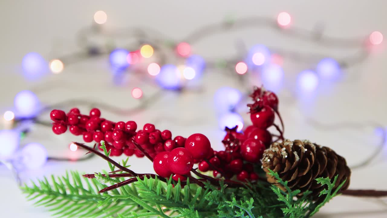 Green branch with red berries, Christmas tree decoration with boke back.