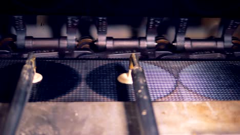 creamy substance is being poured onto the conveyor belt in exact circles